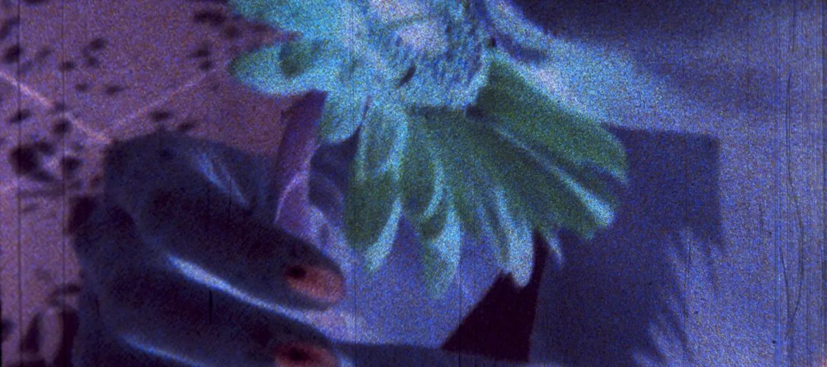Blumenkussfinger
