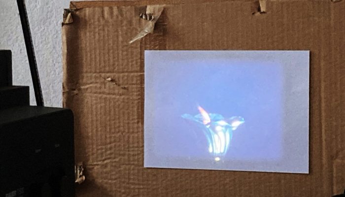 Alles Super 8 : Der Experimentalfilm von Dagie Brundert Filmscreening zu Alles Super 8 : Der Experimentalfilm von Dagie Brundert © Benjamin Ochse