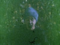 Der Antisept © Dagie Brundert