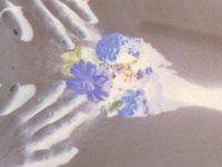 Venus © Dagie Brundert